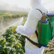 Agricultural Pesticides